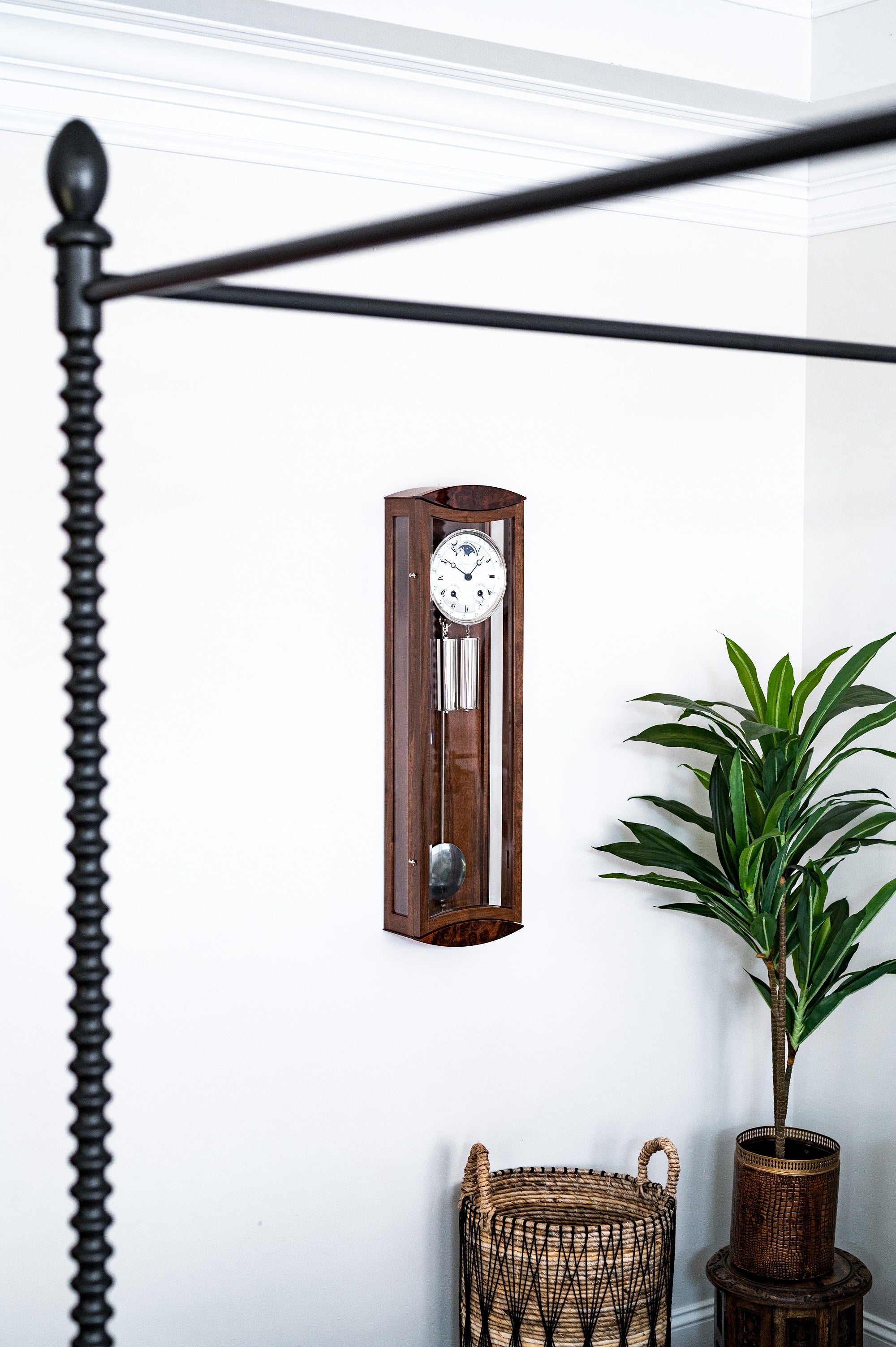 Pendulum regulator wall clock with an iced beech wooden finish hangs on a white wall beside windows and green plants